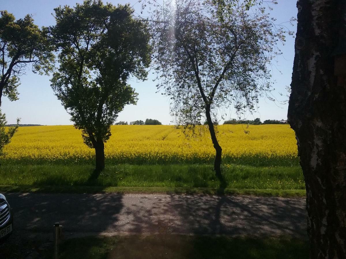 Ferienwohnung Thien Gross Niendorf  外观 照片